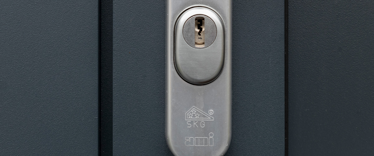 SKG*** anti-kerntrek krukset openslaande garagedeur ambassa